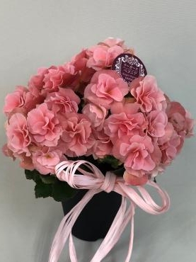 「ぐんまちゃんピンバッチ」｜「彩季舎」　（群馬県高崎市の花キューピット加盟店 花屋）のブログ