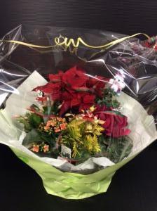 寄せ植えクリスマス！｜「お花の陽光園」　（青森県八戸市の花キューピット加盟店 花屋）のブログ