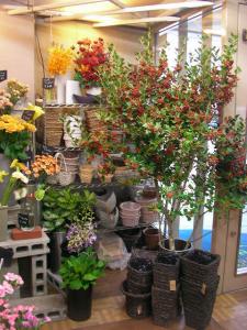 ホーリー君店頭を乗っ取~る!｜「花かざり」　（大阪府大阪市城東区の花キューピット加盟店 花屋）のブログ