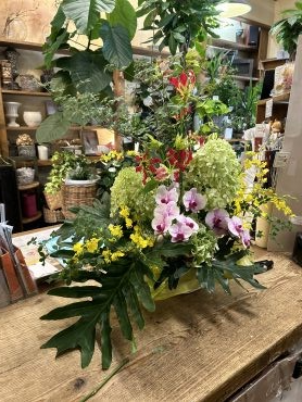 グリーン多めのアレンジメント｜「フローリスト飾り屋」　（鹿児島県鹿児島市の花キューピット加盟店 花屋）のブログ