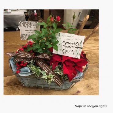 冬の花だより・・・｜「フローリスト飾り屋」　（鹿児島県鹿児島市の花キューピット加盟店 花屋）のブログ