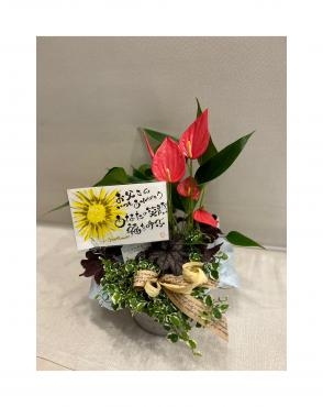 父の日ギフト　＆　サプライズ笑神様～｜「フローリスト飾り屋」　（鹿児島県鹿児島市の花キューピット加盟店 花屋）のブログ