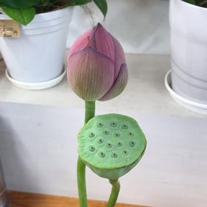 お盆のお花の準備中です｜「フラワーショップはなまつ」　（京都府宇治市の花キューピット加盟店 花屋）のブログ