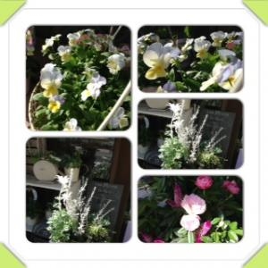 今日も試行錯誤・・・｜「フローリスト飾り屋」　（鹿児島県鹿児島市の花キューピット加盟店 花屋）のブログ