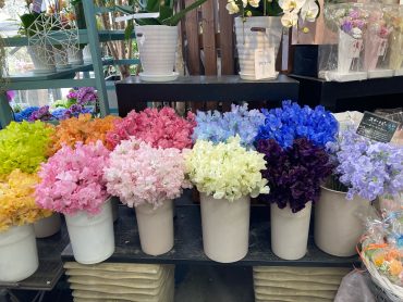 スイトピー最終入荷です｜「難波ナーセリー」　（岡山県倉敷市の花キューピット加盟店 花屋）のブログ