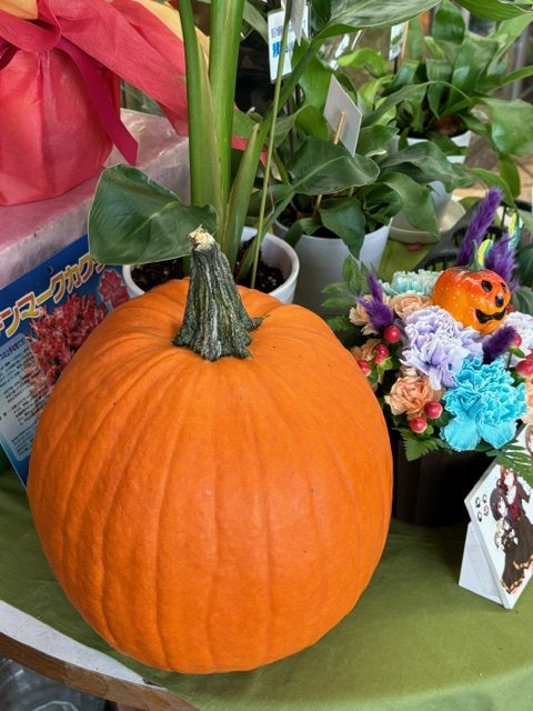 ハロウィンかぼちゃ｜「フラワーショップはなまつ」　（京都府宇治市の花キューピット加盟店 花屋）のブログ