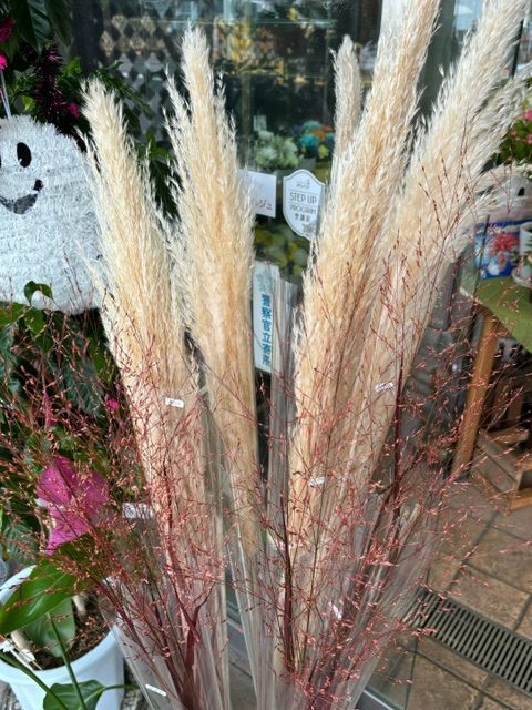 暑いけど秋は来ています｜「フラワーショップはなまつ」　（京都府宇治市の花キューピット加盟店 花屋）のブログ
