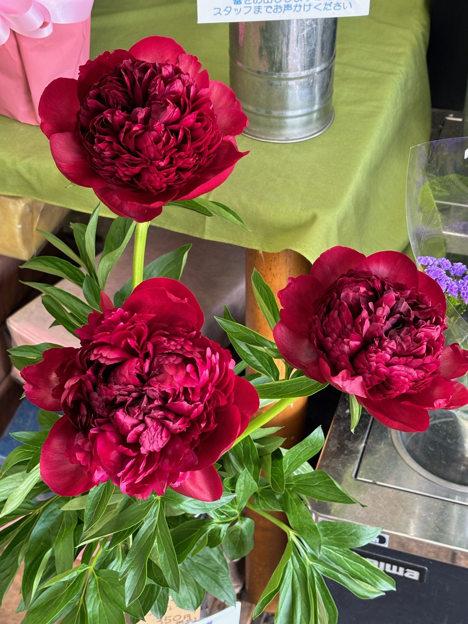 素敵な芍薬（切り花）と花鉢入荷｜「フラワーショップはなまつ」　（京都府宇治市の花キューピット加盟店 花屋）のブログ