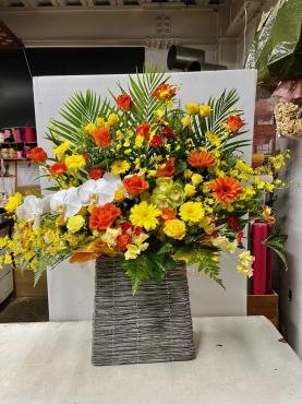 コロナ禍でも「難波ナーセリー」（岡山県倉敷市の花屋）のギャラリー写真