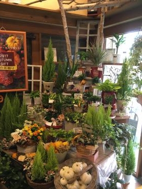 秋の花だより・・・敬老の日におすすめギフト｜「フローリスト飾り屋」　（鹿児島県鹿児島市の花キューピット加盟店 花屋）のブログ