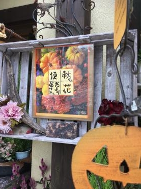 秋の花贈りお手伝い｜「フローリスト飾り屋」　（鹿児島県鹿児島市の花キューピット加盟店 花屋）のブログ