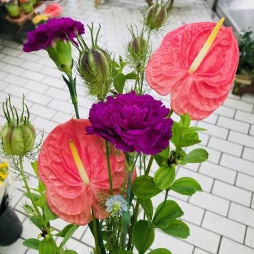わがままなツバメになりそうだ｜「ポピー」　（京都府八幡市の花キューピット加盟店 花屋）のブログ