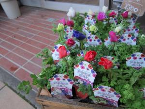 続々入荷♪｜「フラワーショップ花よど」　（熊本県天草市の花キューピット加盟店 花屋）のブログ