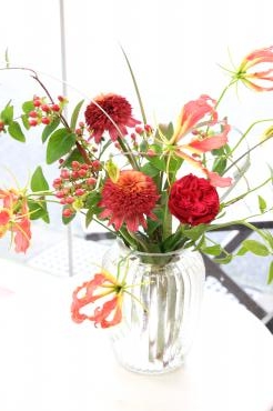 エキナセア｜「アライ花店」　（山形県山形市の花キューピット加盟店 花屋）のブログ