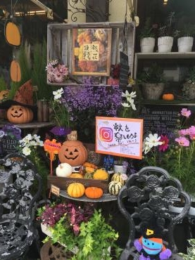 秋深まりし～～～｜「フローリスト飾り屋」　（鹿児島県鹿児島市の花キューピット加盟店 花屋）のブログ