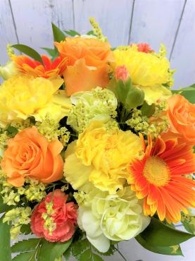 インスタグラム本格的稼働（予定）｜「ポピー」　（京都府八幡市の花キューピット加盟店 花屋）のブログ