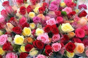 山形県産の花で｜「アライ花店」　（山形県山形市の花キューピット加盟店 花屋）のブログ