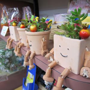 入荷！｜「フラワーショップ花よど」　（熊本県天草市の花キューピット加盟店 花屋）のブログ