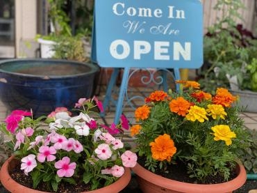 プランター　花壇　植え替え　承ります。｜「彩季舎」　（群馬県高崎市の花キューピット加盟店 花屋）のブログ