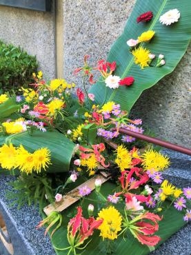 今週の飛行神社の花手水｜「ポピー」　（京都府八幡市の花キューピット加盟店 花屋）のブログ