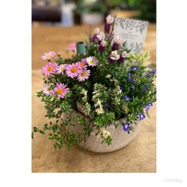 少し早めの母の日ギフト…｜「フローリスト飾り屋」　（鹿児島県鹿児島市の花キューピット加盟店 花屋）のブログ