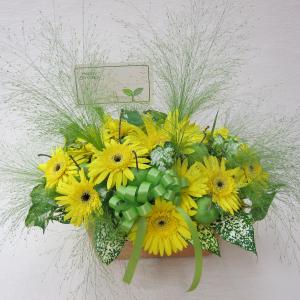 お盆も過ぎ・・・｜「フラワーショップ花よど」　（熊本県天草市の花キューピット加盟店 花屋）のブログ
