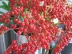 赤い実｜「花かざり」　（大阪府大阪市城東区の花キューピット加盟店 花屋）のブログ