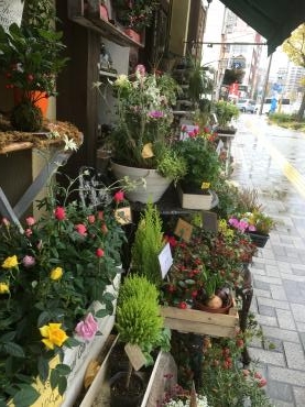 寒い雨の日曜日・・・｜「フローリスト飾り屋」　（鹿児島県鹿児島市の花キューピット加盟店 花屋）のブログ