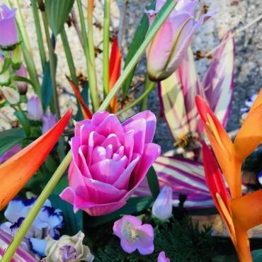 今週の飛行神社の花手水（八重咲きHBゆり）｜「ポピー」　（京都府八幡市の花キューピット加盟店 花屋）のブログ