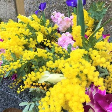 今週の飛行神社の花手水（3/8はミモザの日）｜「ポピー」　（京都府八幡市の花キューピット加盟店 花屋）のブログ