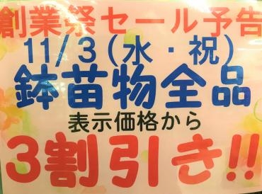 セール予告（11/3水・祝）と（11/6土）｜「ポピー」　（京都府八幡市の花キューピット加盟店 花屋）のブログ