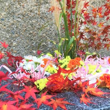 今週の飛行神社の花手水＆11/20.21秋の文化財一斉公開｜「ポピー」　（京都府八幡市の花キューピット加盟店 花屋）のブログ