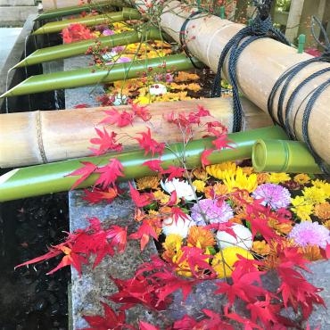 石清水八幡宮の花手水・11月20日(土)と11月21(日)の2日間｜「ポピー」　（京都府八幡市の花キューピット加盟店 花屋）のブログ