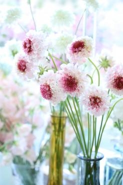 大寒が過ぎ。。。｜「アライ花店」　（山形県山形市の花キューピット加盟店 花屋）のブログ