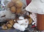 Ｃｏｔｔｏｎ～｜「花かざり」　（大阪府大阪市城東区の花キューピット加盟店 花屋）のブログ