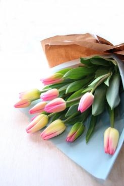 チューリップの花束｜「アライ花店」　（山形県山形市の花キューピット加盟店 花屋）のブログ