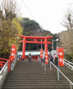やっとお店にお花が！・・・・｜「緑花園」　（徳島県吉野川市の花キューピット加盟店 花屋）のブログ