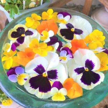 パンジービオラの花手水｜「ポピー」　（京都府八幡市の花キューピット加盟店 花屋）のブログ