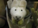 ☆・☆・09.11.17　寒いけど、ココロあったまる　仲間たち☆・☆｜「フローリスト飾り屋」　（鹿児島県鹿児島市の花キューピット加盟店 花屋）のブログ