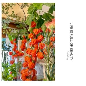 夏の風物詩・・・｜「フローリスト飾り屋」　（鹿児島県鹿児島市の花キューピット加盟店 花屋）のブログ