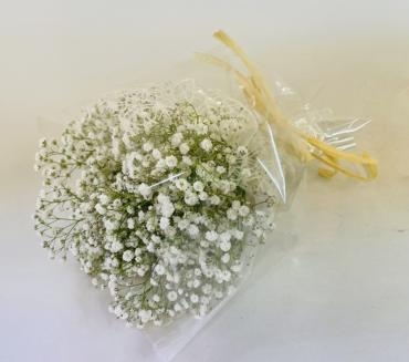 プチギフト　ミニブーケ｜「彩季舎」　（群馬県高崎市の花キューピット加盟店 花屋）のブログ