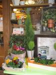 ２０１０．１．１２　ウィンター＆スプリング｜「フローリスト飾り屋」　（鹿児島県鹿児島市の花キューピット加盟店 花屋）のブログ