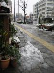 2010．1.13　鹿児島の雪景色❄・❄・❄・｜「フローリスト飾り屋」　（鹿児島県鹿児島市の花キューピット加盟店 花屋）のブログ