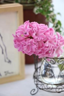 香りで癒される｜「アライ花店」　（山形県山形市の花キューピット加盟店 花屋）のブログ