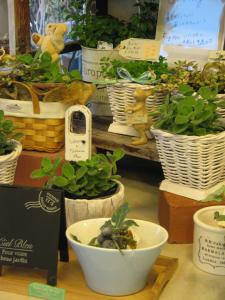 季節の模様替え｜「フローリスト飾り屋」　（鹿児島県鹿児島市の花キューピット加盟店 花屋）のブログ