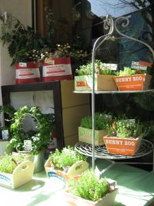 ３・２１　日差しは春分の日でした・・。｜「フローリスト飾り屋」　（鹿児島県鹿児島市の花キューピット加盟店 花屋）のブログ