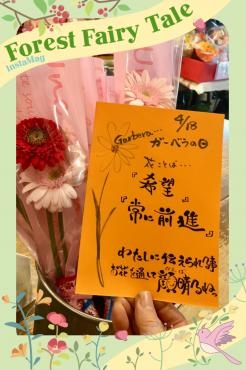 ソープフラワー　母の日におススメですよ｜「フローリスト飾り屋」　（鹿児島県鹿児島市の花キューピット加盟店 花屋）のブログ