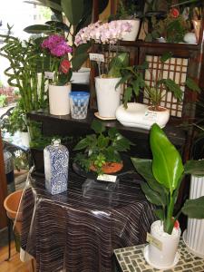 あっツ、　もうこんな季節!!｜「フローリスト飾り屋」　（鹿児島県鹿児島市の花キューピット加盟店 花屋）のブログ