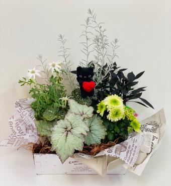 敬老の日　プランツアレンジ　寄せ鉢｜「彩季舎」　（群馬県高崎市の花キューピット加盟店 花屋）のブログ
