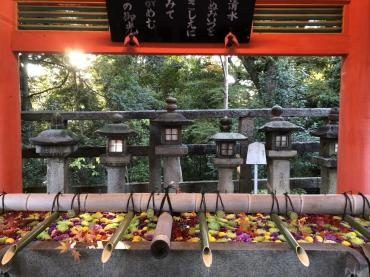 京都やわた秋の文化財一斉公開の花手水4カ所｜「ポピー」　（京都府八幡市の花キューピット加盟店 花屋）のブログ